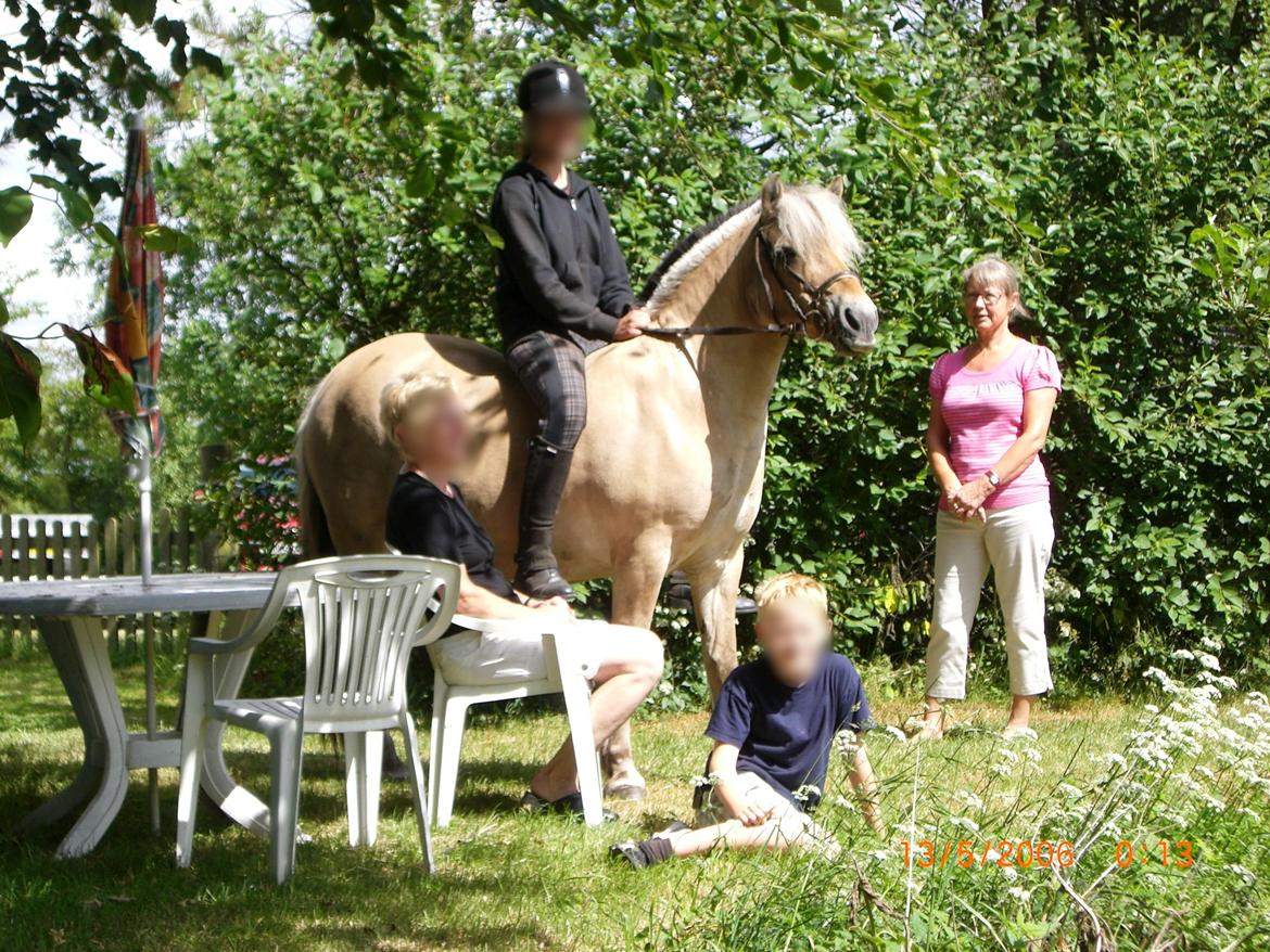 Fjordhest Frøkja - IKKE mit billede eller mig der rider, men har fået lov til at låne det! :) billede 1