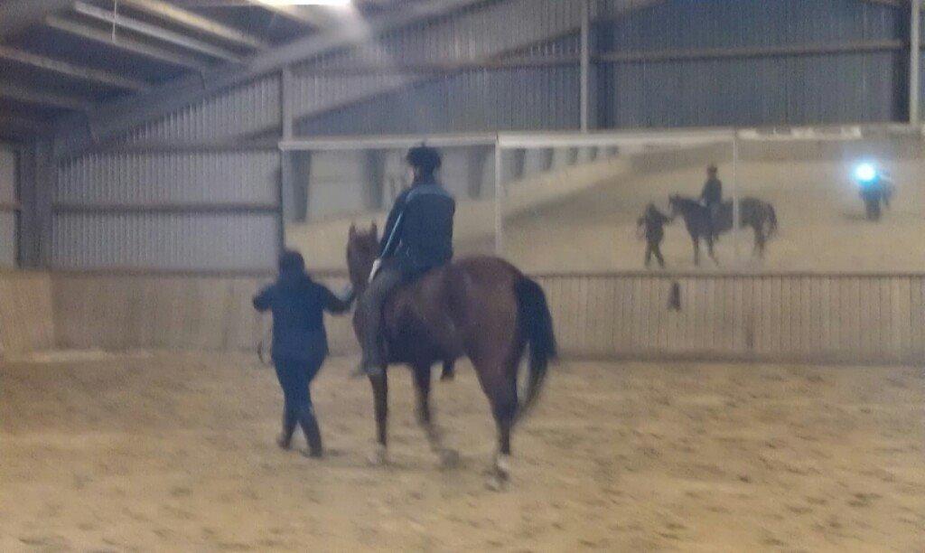 Welsh Partbred (Sec F) Skovsmindes Angelique (Angie) billede 3