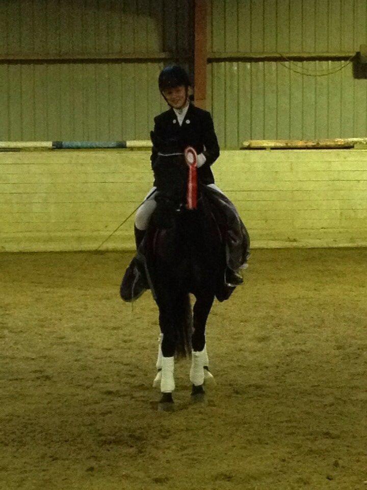 Welsh Partbred (Sec F) Laibek's Fulton - "B" pony !!!! - første stævne billede 5