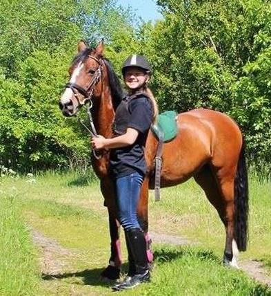 New Forest Miss Malou billede 17