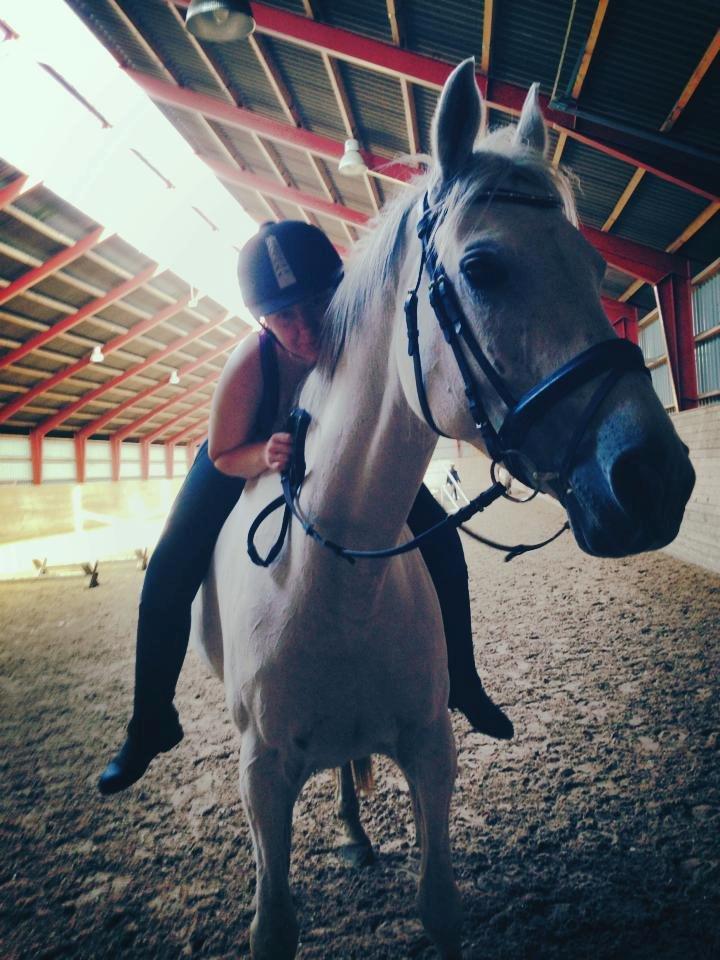 Anden særlig race Just My Luck (Lucky) - Forår 2014 billede 20