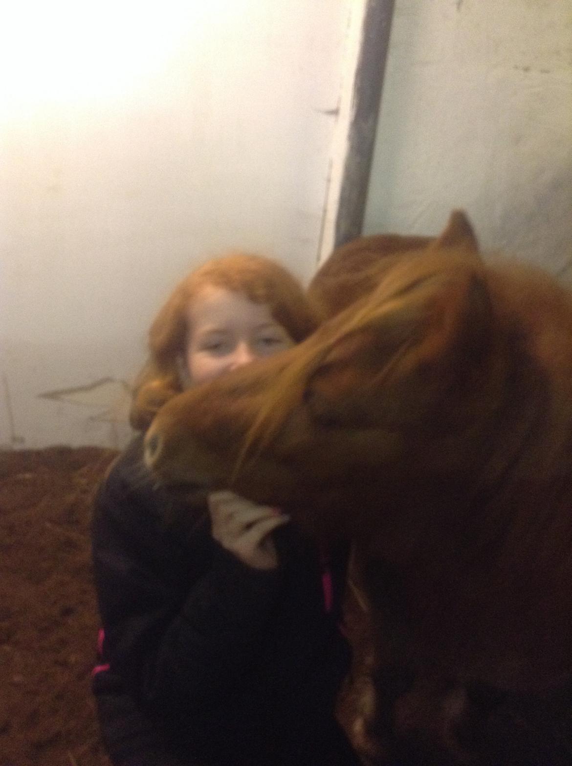 Miniature Fiona billede 5