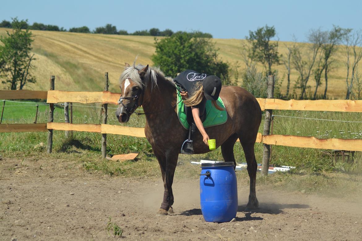 Anden særlig race Pippi - Turbo ponyen billede 12