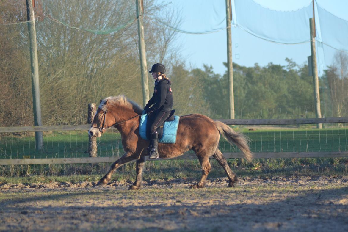 Anden særlig race Pippi - Turbo ponyen billede 16
