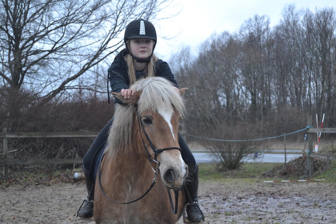 Anden særlig race Pippi - Turbo ponyen billede 2