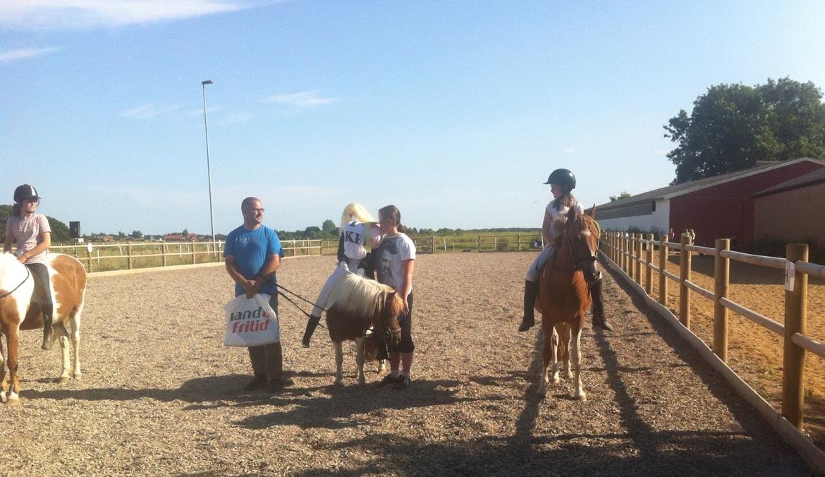 Shetlænder Hannibal - lindsey kessler får lige lov til og ride på Hannibal til præmie overrækkelse, da jeg skulle ride min egen egen…:) billede 3