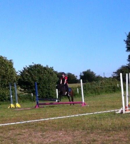 Anden særlig race Dennis (Sigge) billede 14