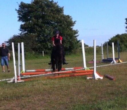 Anden særlig race Dennis (Sigge) billede 17