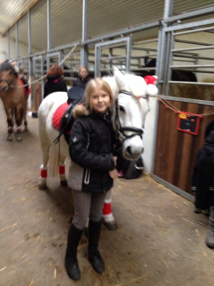 Anden særlig race Tulle. <3 meget savnet :,( billede 8