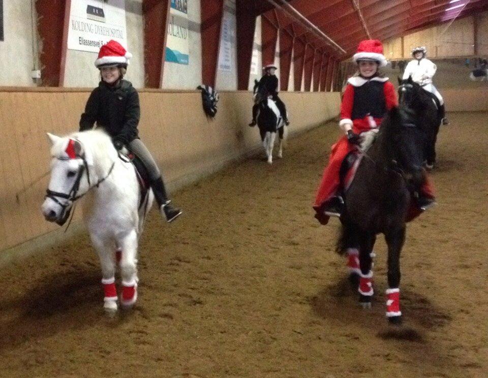 Anden særlig race Tulle. <3 meget savnet :,( billede 10