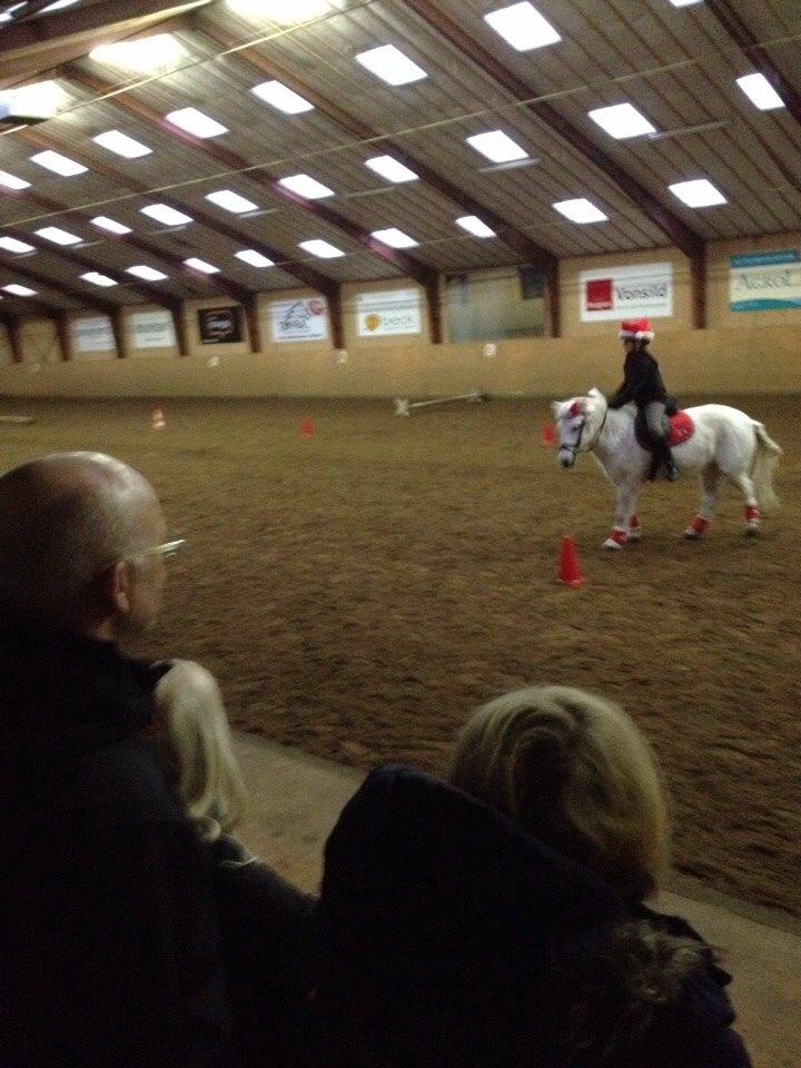 Anden særlig race Tulle. <3 meget savnet :,( billede 11