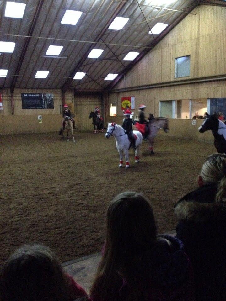 Anden særlig race Tulle. <3 meget savnet :,( billede 12