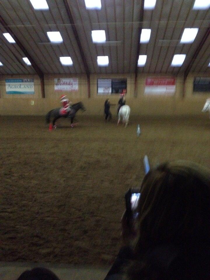 Anden særlig race Tulle. <3 meget savnet :,( billede 13