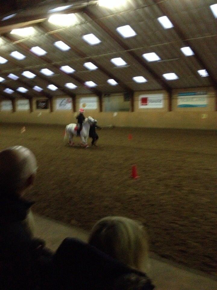 Anden særlig race Tulle. <3 meget savnet :,( billede 14