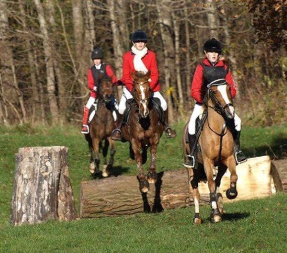 Svensk Sportspony  Puma (solgt :'(<3 billede 26