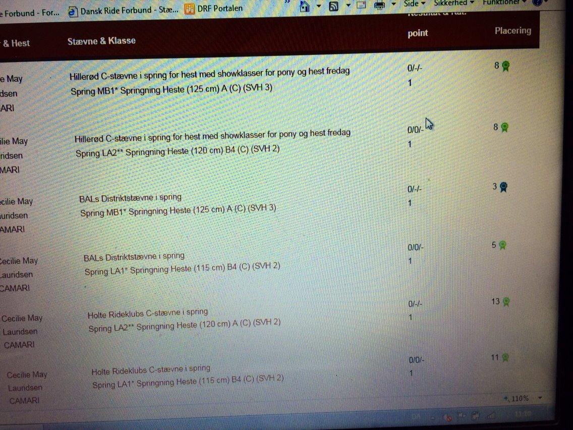 Dansk Varmblod Camari billede 20