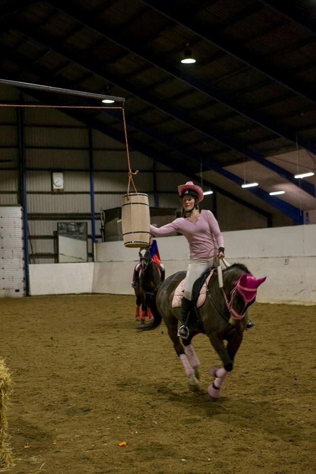 Dansk Varmblod Midor (Mulle) billede 2