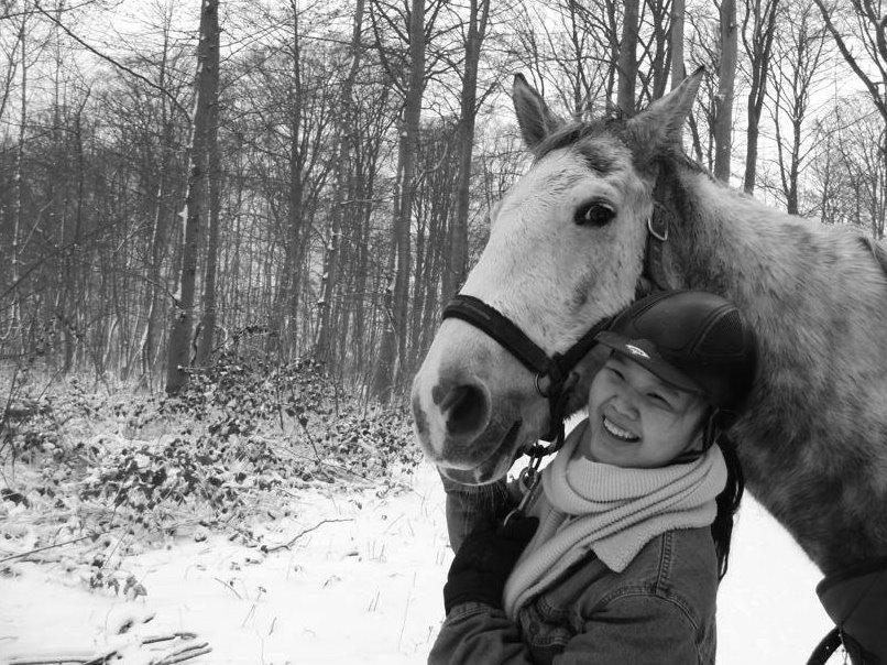 Knabstrupper Søgaardens Marlboro billede 11