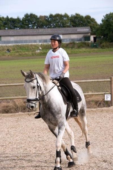 Knabstrupper Søgaardens Marlboro billede 7