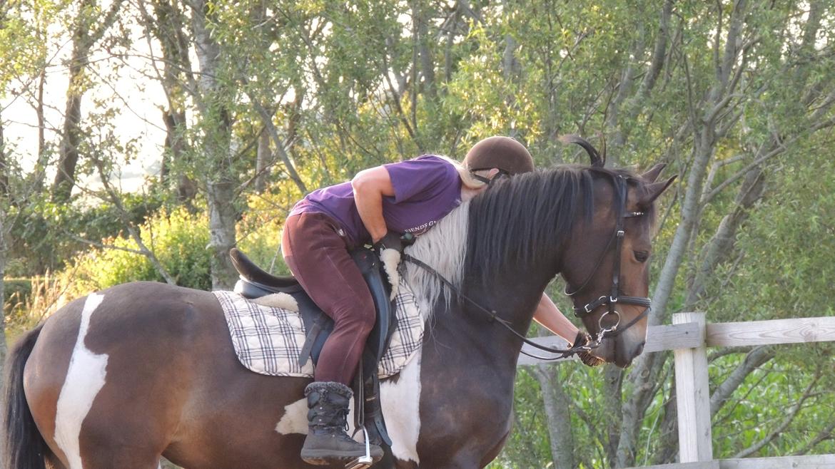 Barockpinto Valencia - Valle <3 - SOLGT - dygtig! billede 18