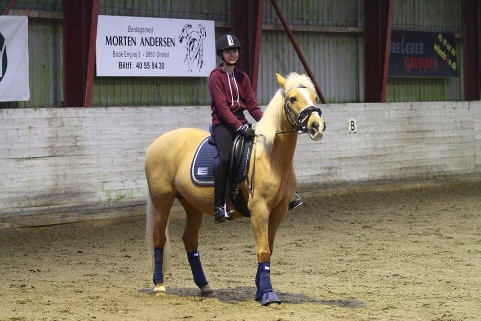 Anden særlig race Mitzi billede 5