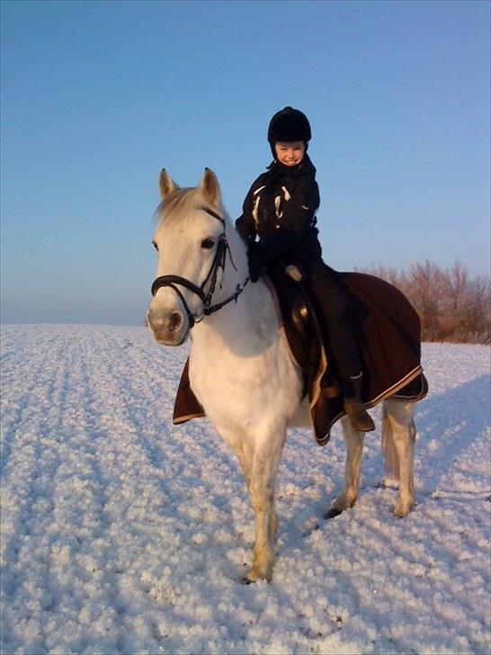 Connemara Moon Leight billede 14