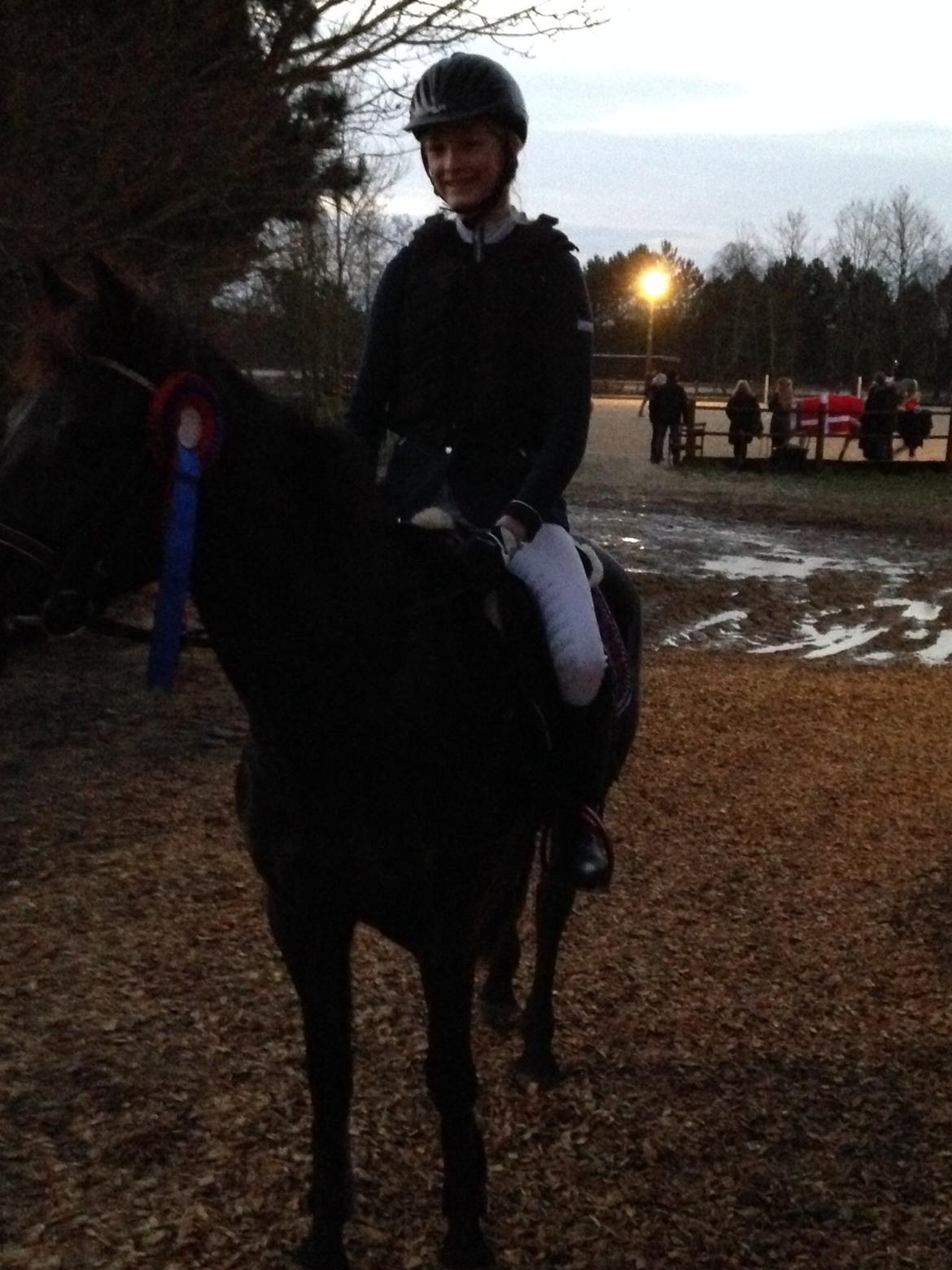 New Forest Egeballes Timian billede 12