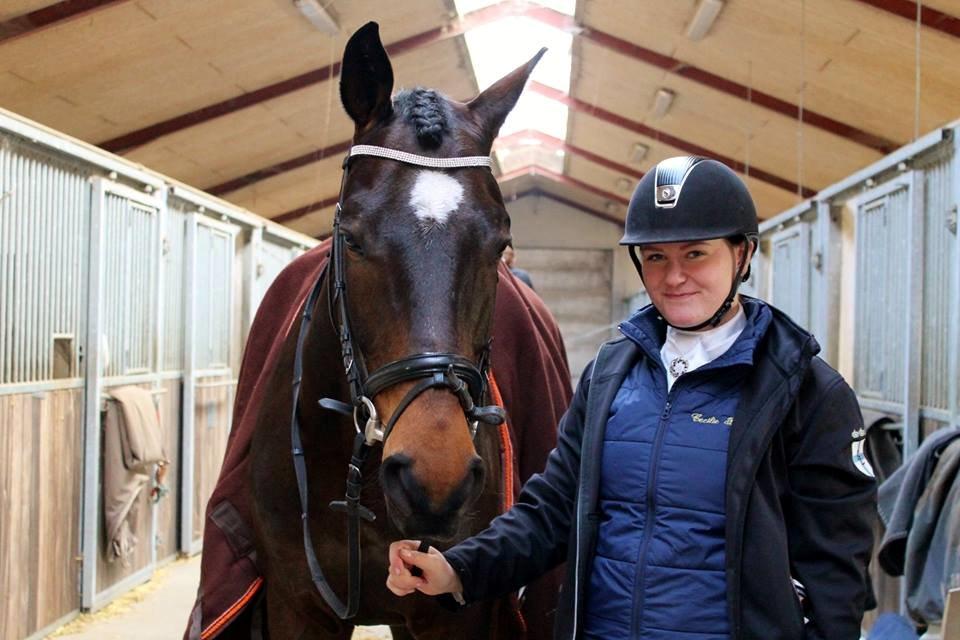 Dansk Varmblod Wolhøjgaards Kanzo billede 19