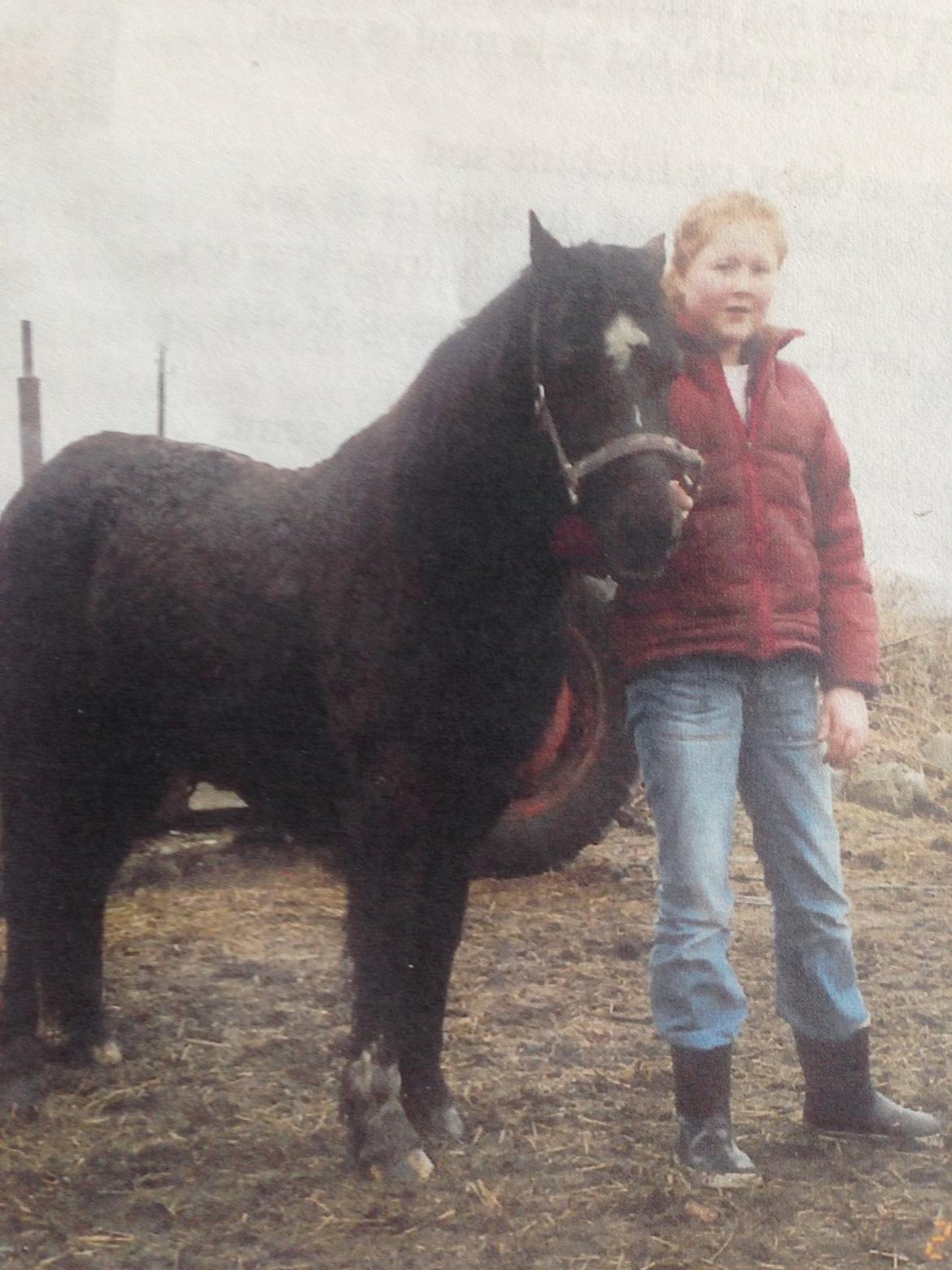 Irsk Sportspony Littel Black Diamond [Altid elsket/ Savnet] - Mig og diamond taget efteråret 05 billede 12