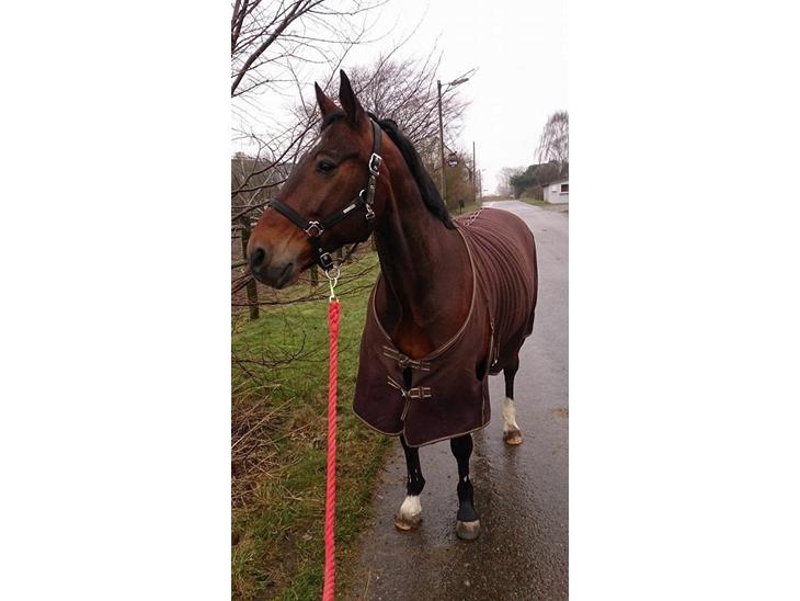 {{currentPhoto.altText}} billede {{currentPhoto.number}}