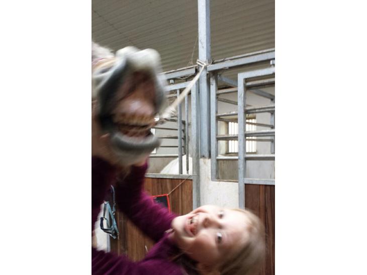 {{currentPhoto.altText}} billede {{currentPhoto.number}}