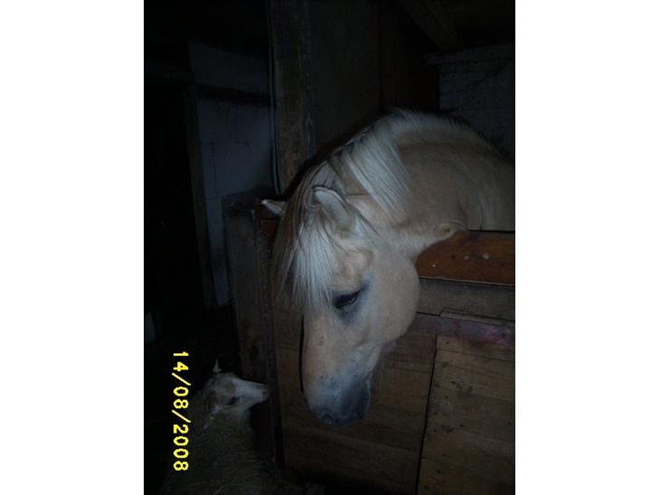 {{currentPhoto.altText}} billede {{currentPhoto.number}}