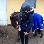 Anden særlig race Molly Monster - SOLGT