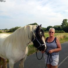 Irish Cob Romanys Agata
