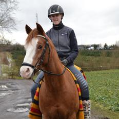 DSP Egegårdens Dacapo