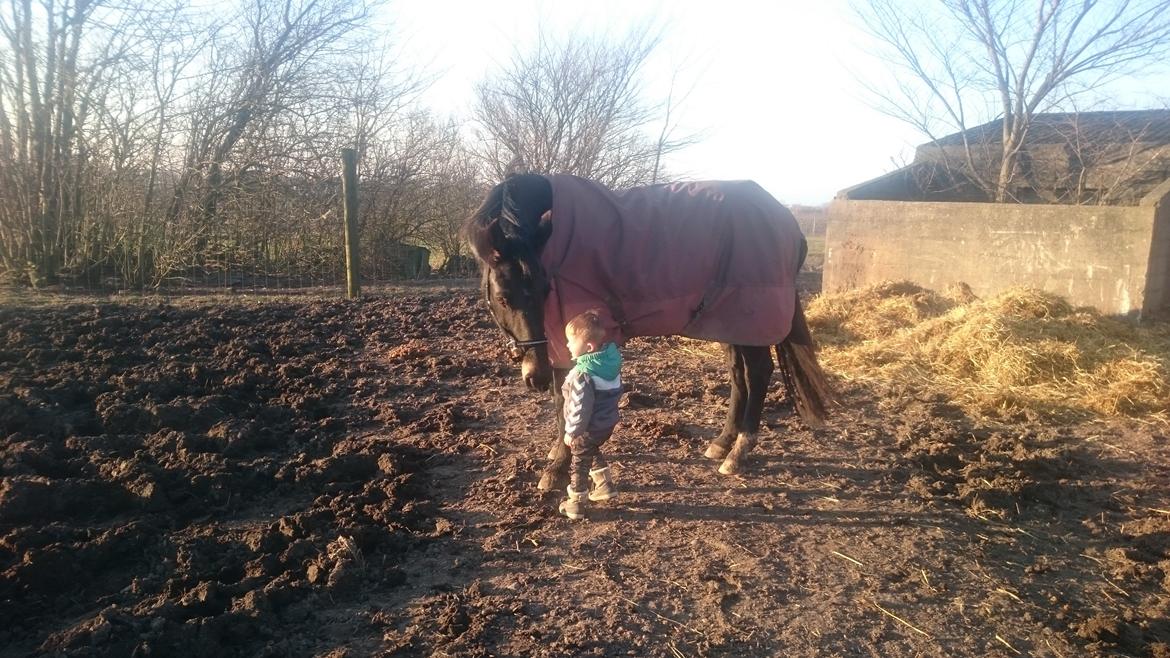 Oldenborg Schousboes Fie billede 15