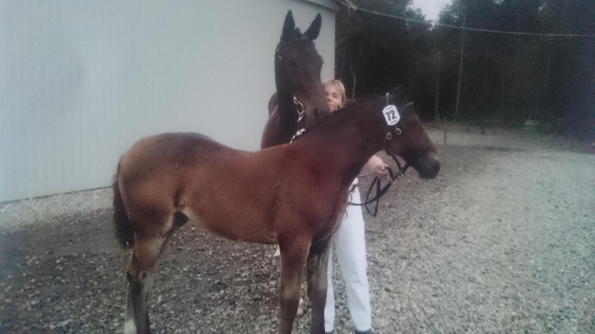 Oldenborg Schousboes Fie billede 20