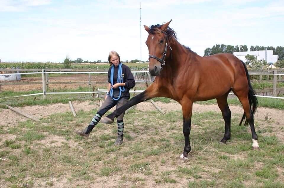 Traver Zygor <3 - Så dygtig ;)  billede 6