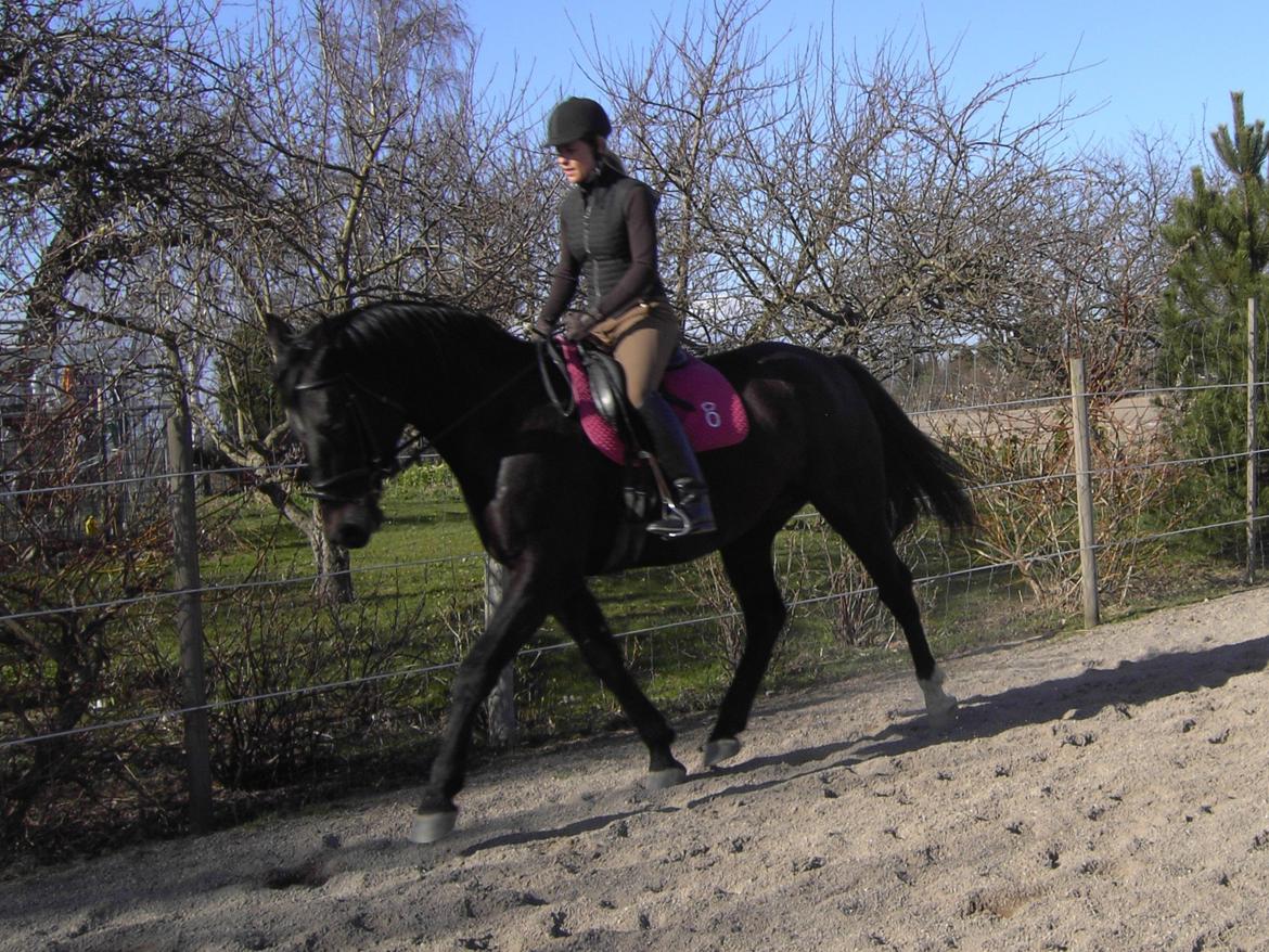 Oldenborg Schousboes Fie billede 16