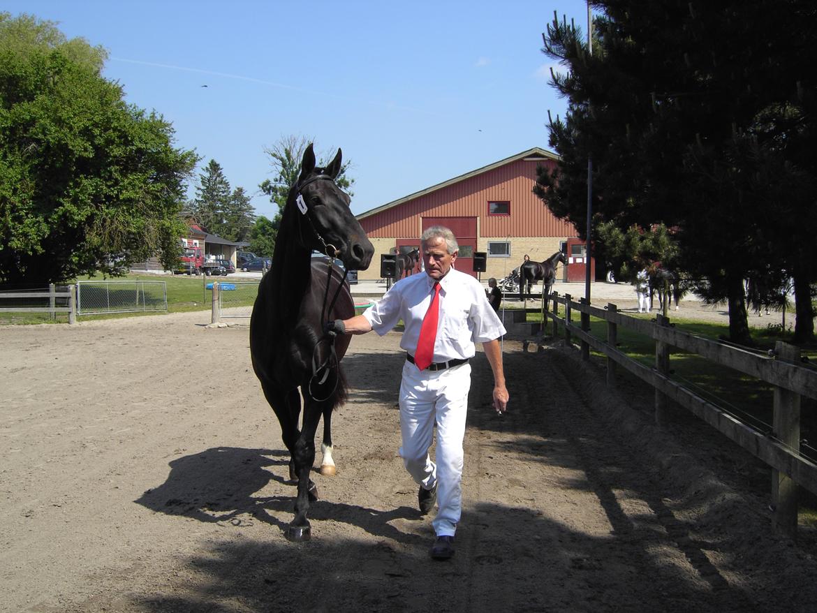 Oldenborg Schousboes Fie billede 10