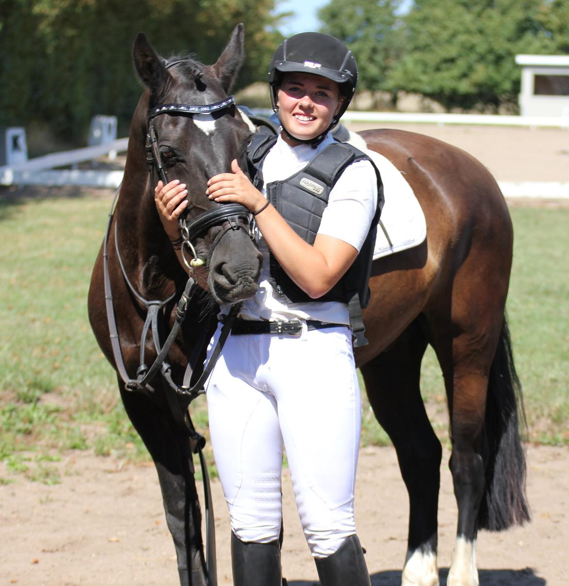 Welsh Cob (sec D) Dynamite Bogart - Efter springstævne NVR 2014 ♥ billede 15