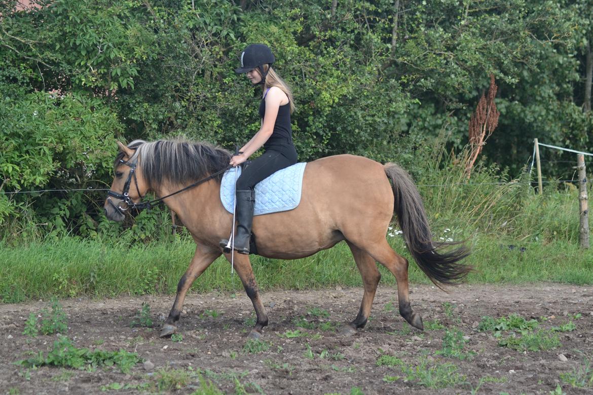 Anden særlig race Sara Bella - Med Camilla billede 8