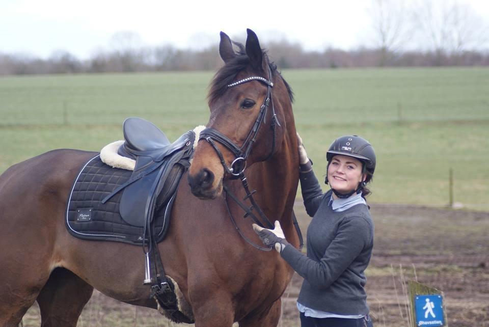 Dansk Varmblod STENKISTEKÆRS KITTE KRY *Kitte* billede 1