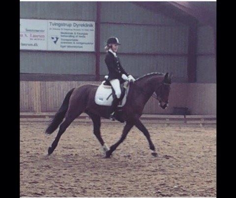 DSP Kenobi - LA debut! HYOR Februar 2015 billede 6