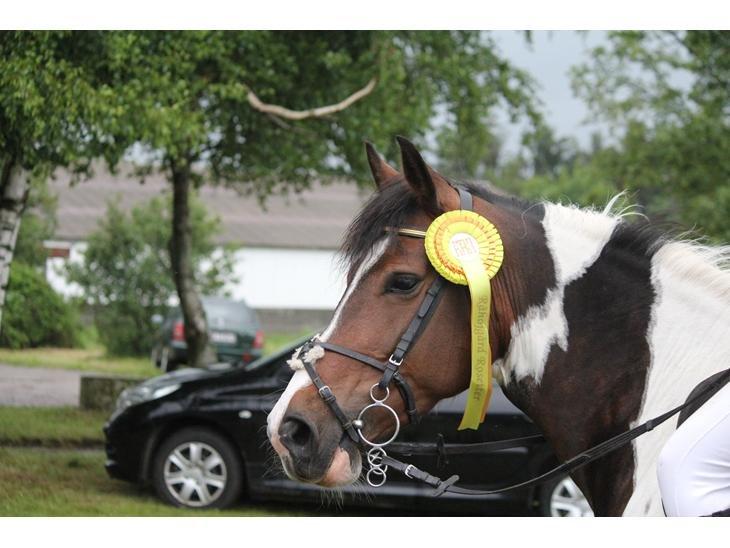 Anden særlig race Cassiopeja - Fin grøn roset til endnu finere (dog ikke grøn) pony :3 billede 1