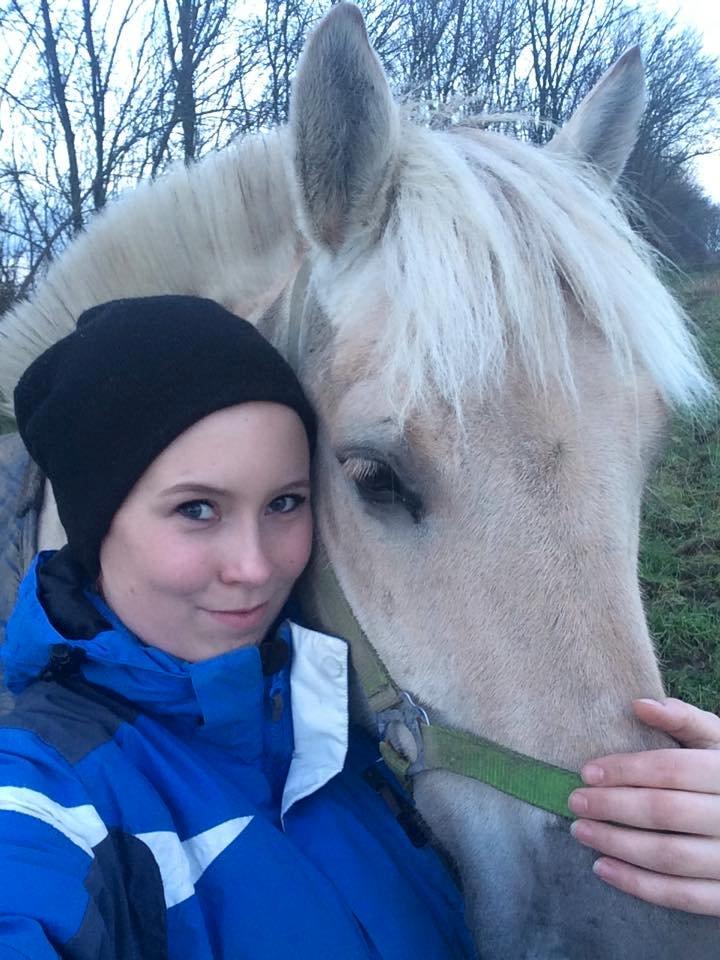 Fjordhest Aldumøstergaard's Brage - En rigtig nusse trold :p billede 15