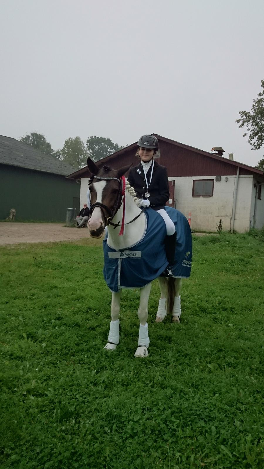 Anden særlig race Soya - Øcup mester 2014 <3 billede 7