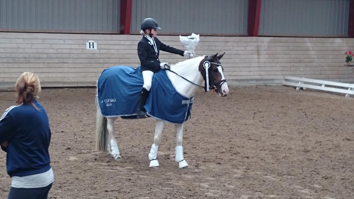 Anden særlig race Soya - Præmie overakkelse til Ø-cup finalen 2014 dressur 1.plads <3 billede 5