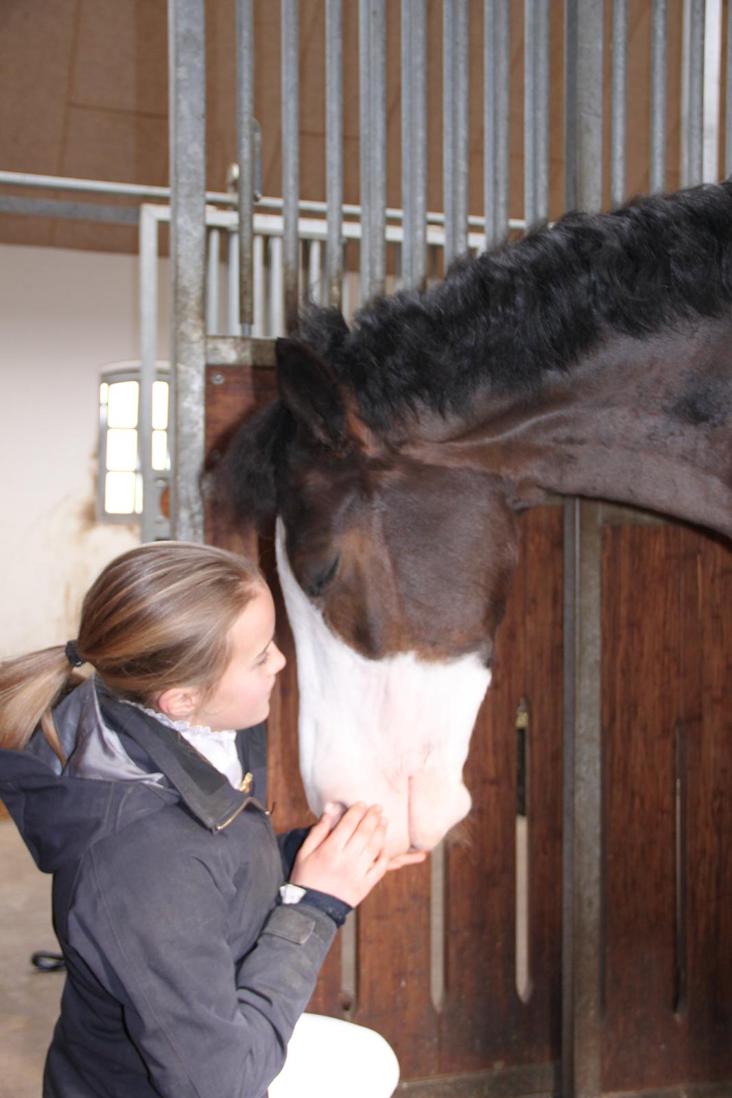 Anden særlig race Bjeldbaks Bingo billede 9