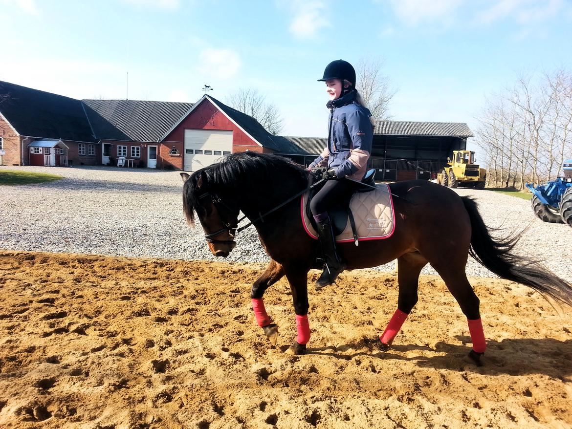 Anden særlig race MUFASJA *FASJA* søsters - Fantastisk udvikling af en smuk pony <3 billede 11